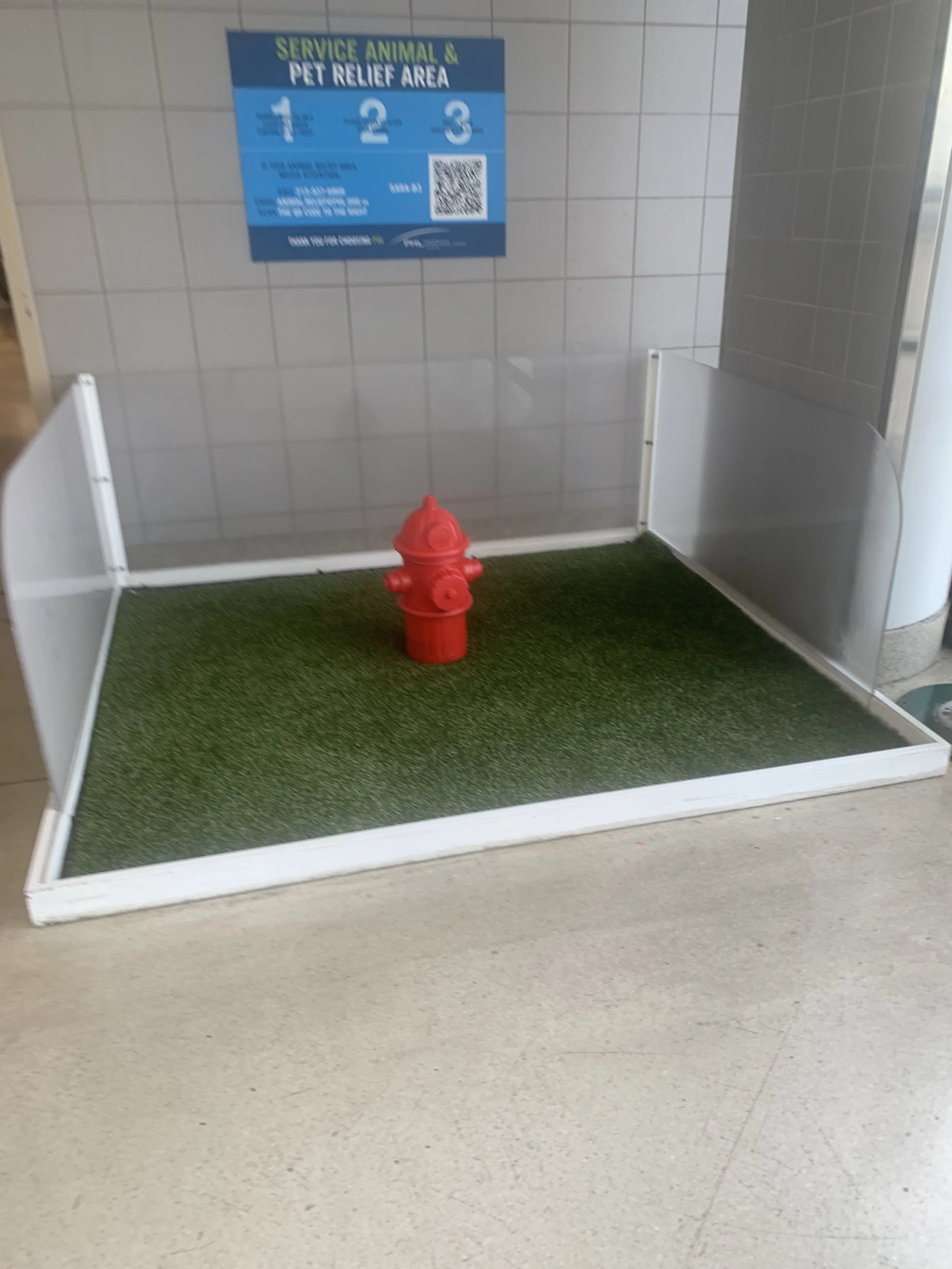  Image taken of a fire hydrant on astroturf in an airport to give dogs a somewhat familiar place to relieve 