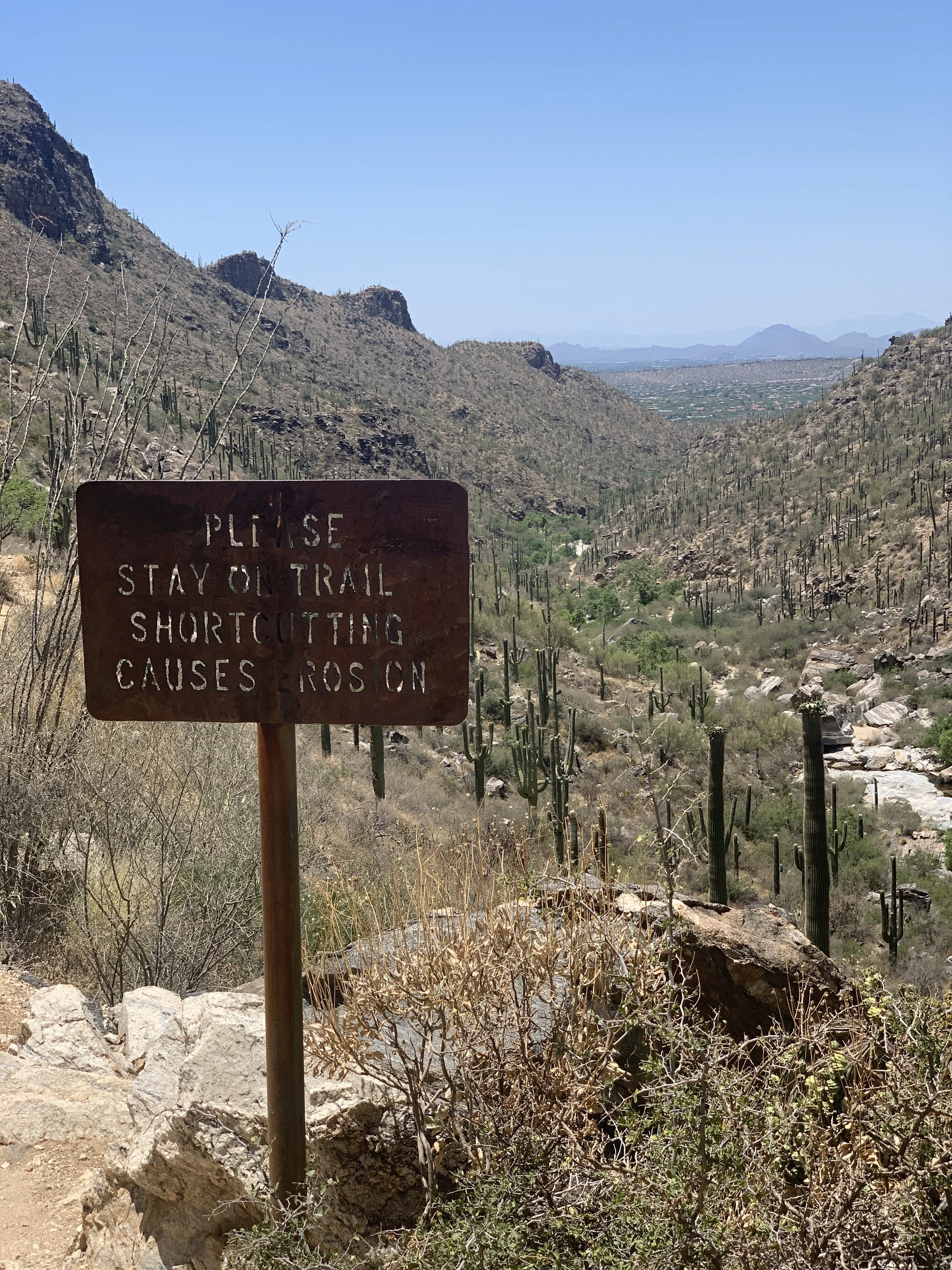 Image taken on a hiking trail in Bear Canyon in Tucson, AZ