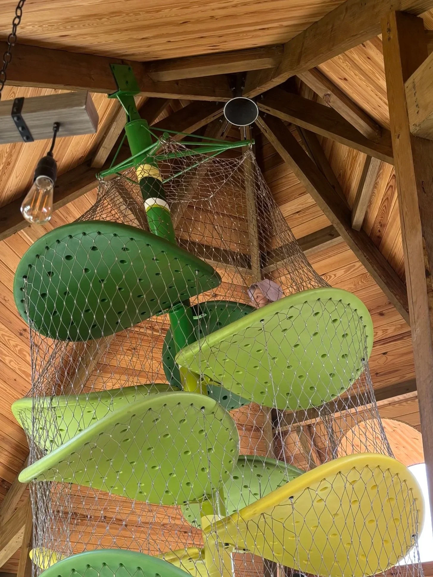 An image of an exhibit at the Cleveland Metroparks zoo where a giant climbable plant was in the middle of a bear exhibit 