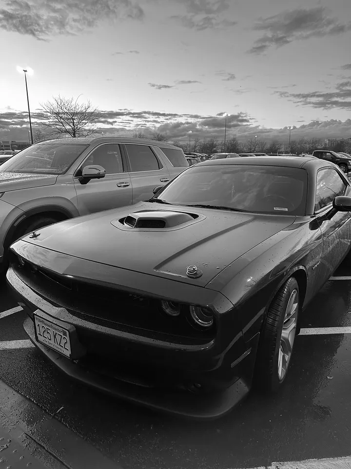 Cool mustang in grayscale