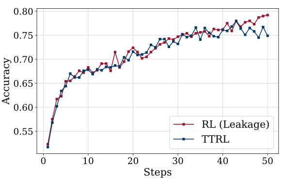 TTRL-rl-leakage