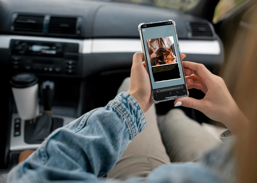 Your Data Mirror — NEEEU