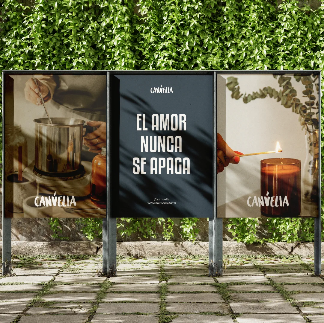 Image number 4 of Canvelia