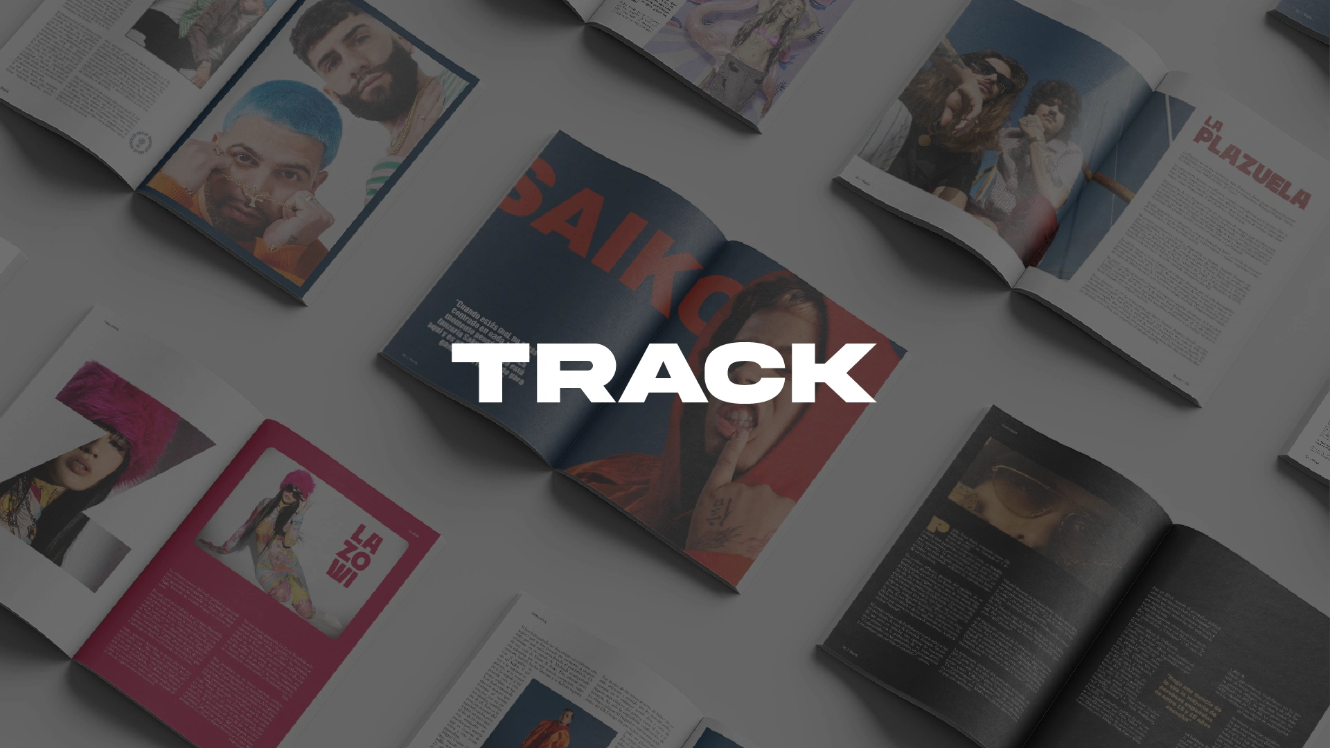 Principal image of Track