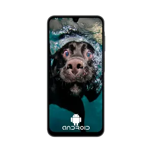 Samsung Galaxy SM-A26 8GB 256GB 5G 6.7" 4 Cámaras USB-C Android 15 Negro