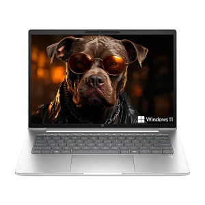 Laptop HP ProBook 440 G11 Core Ultra 7 155U 16GB RAM 1TB SSD 14 Pulgadas HDMI 2x USB-C USB-A Windows 11 Pro Silver