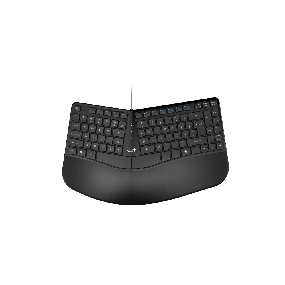 Teclado Genius Ergo KB-700 Negro USB Tecla Copilot Multimedia Reposamanos Windows 10/11 Mac OS