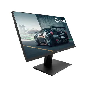 Monitor Quasad QM-F20 21.5 Pulgadas FHD 100Hz LED VGA HDMI Negro