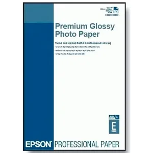 Papel Epson Premium Glossy Photo 24x100