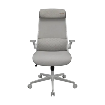 Silla Gamer Cougar Stryder Gris