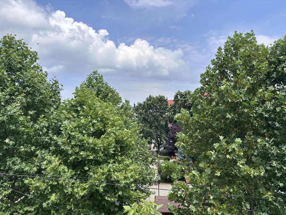 Proprietate de vanzare in Snagov, 1.000 mp construiti