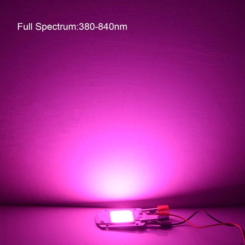 Imagen 5 de Led 10w  Epistar Full Spectrum Crecimiento De Plantas 