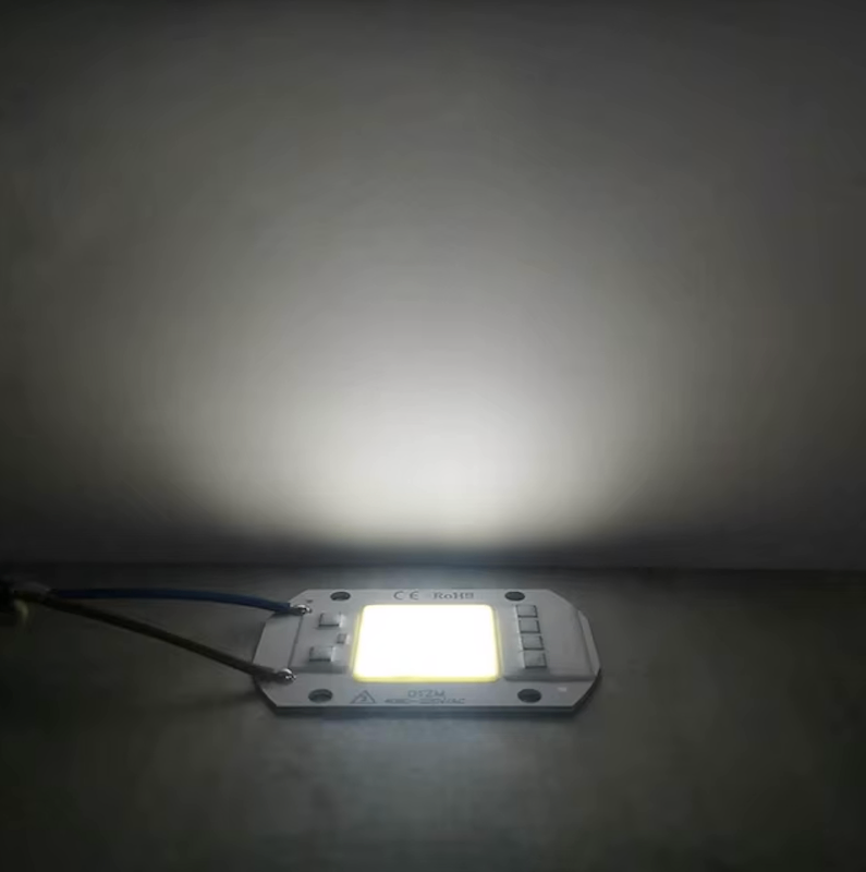 Imagen 2 de Led 50w Smd Directo A 110v Para Reflectores 