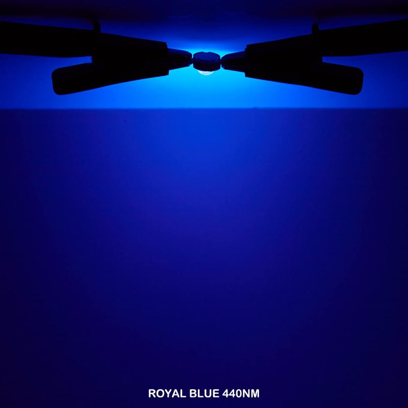 Imagen 3 de Chip Led 3w Royal Blue  450 - 455nm Epistar 10 Leds