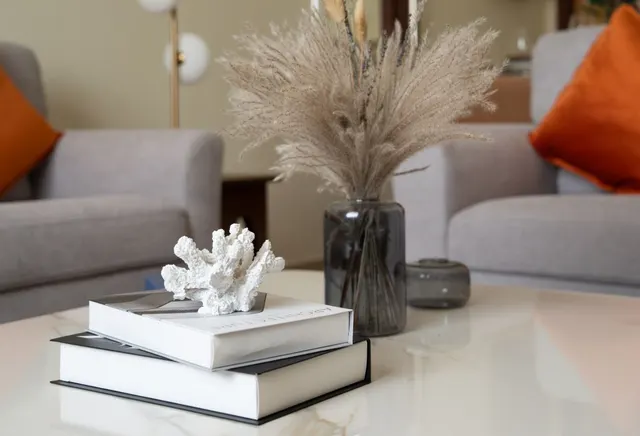 Luxurious Fully Furnished 2 BHK Apartment for Rent