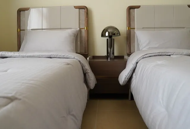 Luxurious Fully Furnished 2 BHK Apartment for Rent