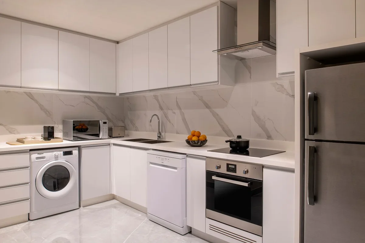 1bhk 5 star hotel luxury appartment including bill