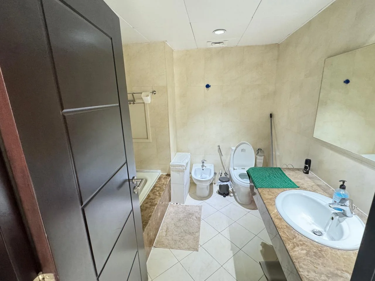 LUXURY ONE BEDROOM FULLY FURNISHED FRENCH STYLE