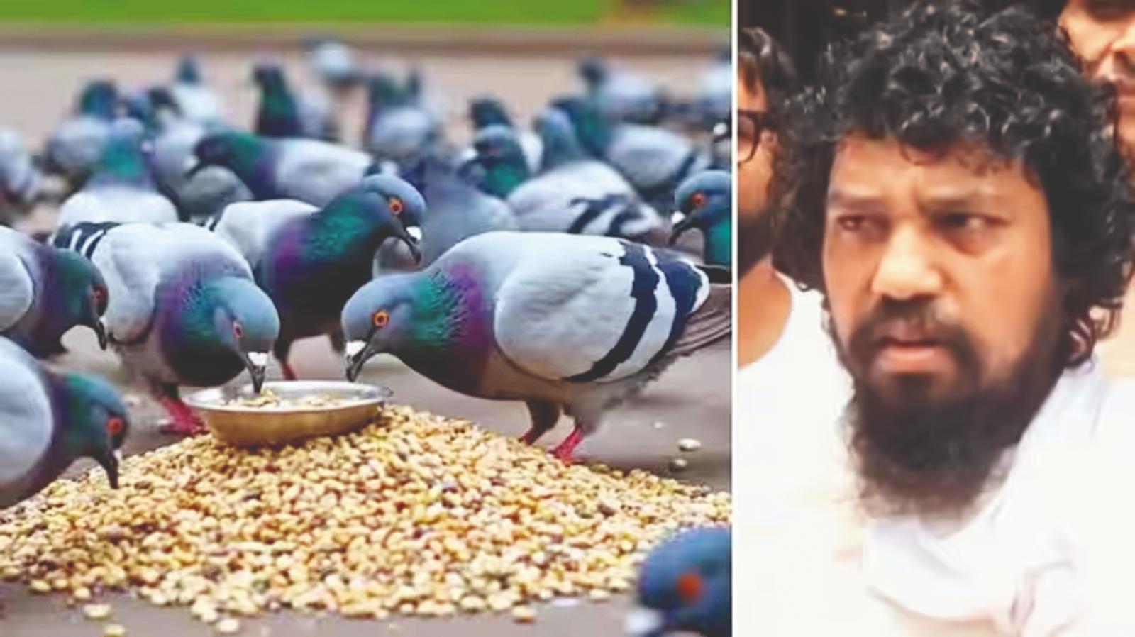दादर कबूतरखाना शुरू नहीं तो जैन मुनि का आंदोलन