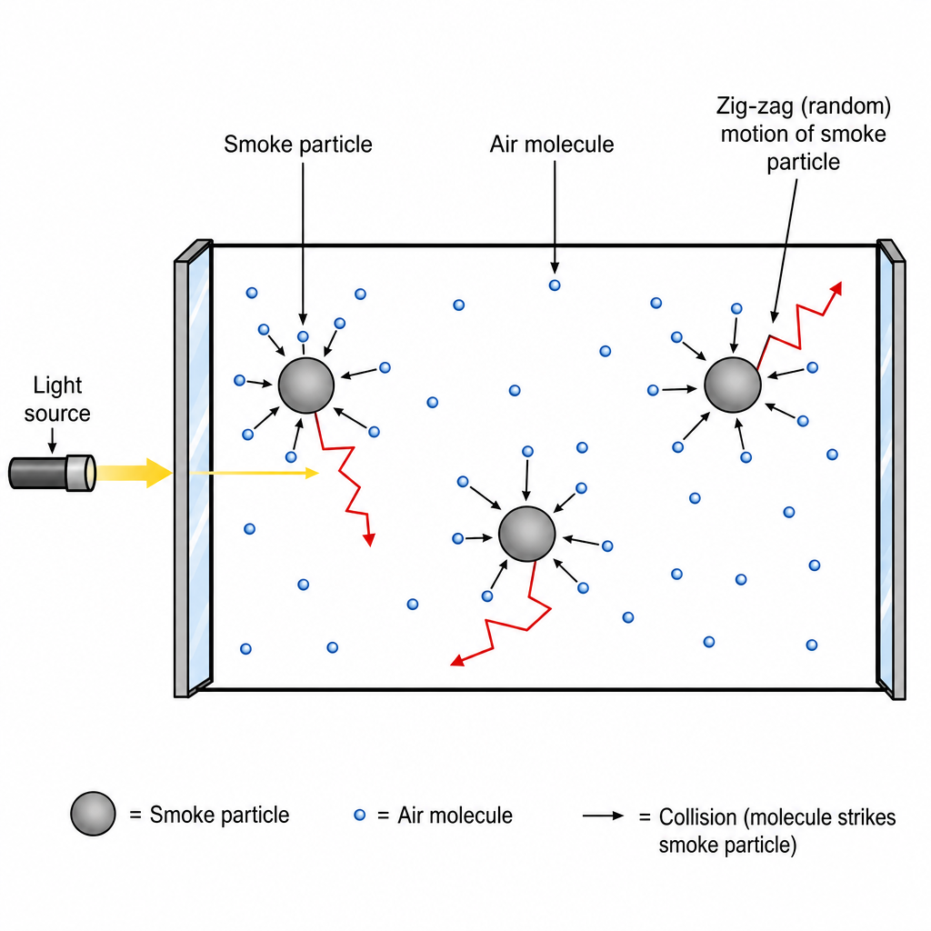 A schematic of a small rectangular smoke cell viewed from the side. Inside the cell, three large grey "smoke particle" circles sit suspended in air, each with a zig-zag random-walk arrow showing its jerky motion. Tiny dots representing air molecules surround each smoke particle with short arrows pointing toward it from random directions. A label "Light source" with an arrow points horizontally into the cell from the left. Clean technical microscopy illustration on a white background.