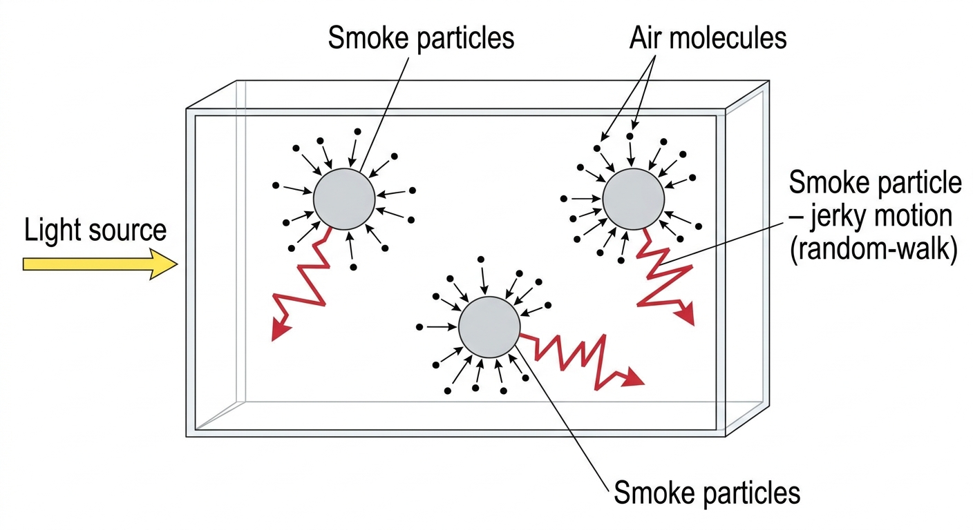 A schematic showing a small rectangular smoke cell viewed from the side. Inside the cell, three large grey "smoke particle" circles sit suspended, each with a zig-zag random-walk arrow showing its jerky motion. Tiny dots representing air molecules surround each smoke particle with short arrows pointing toward it from random directions. A label "Light source" with an arrow points horizontally into the cell from the left. Clean technical microscopy illustration.