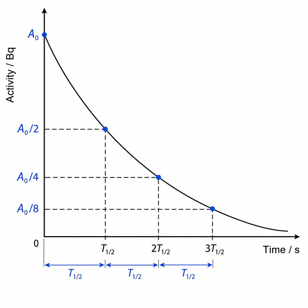 Half-life decay curve. Axes "Activity / Bq" (vertical) vs "Time / s" (horizontal). A smooth exponential-decay curve falls from an initial value $A_0$. Dashed lines mark the activity halving: $A_0 \rightarrow A_0/2$ at one half-life, $\rightarrow A_0/4$ at two, $\rightarrow A_0/8$ at three, with the equal time intervals $T_{1/2}$ marked on the time axis. Clean labelled technical graph, black on white.