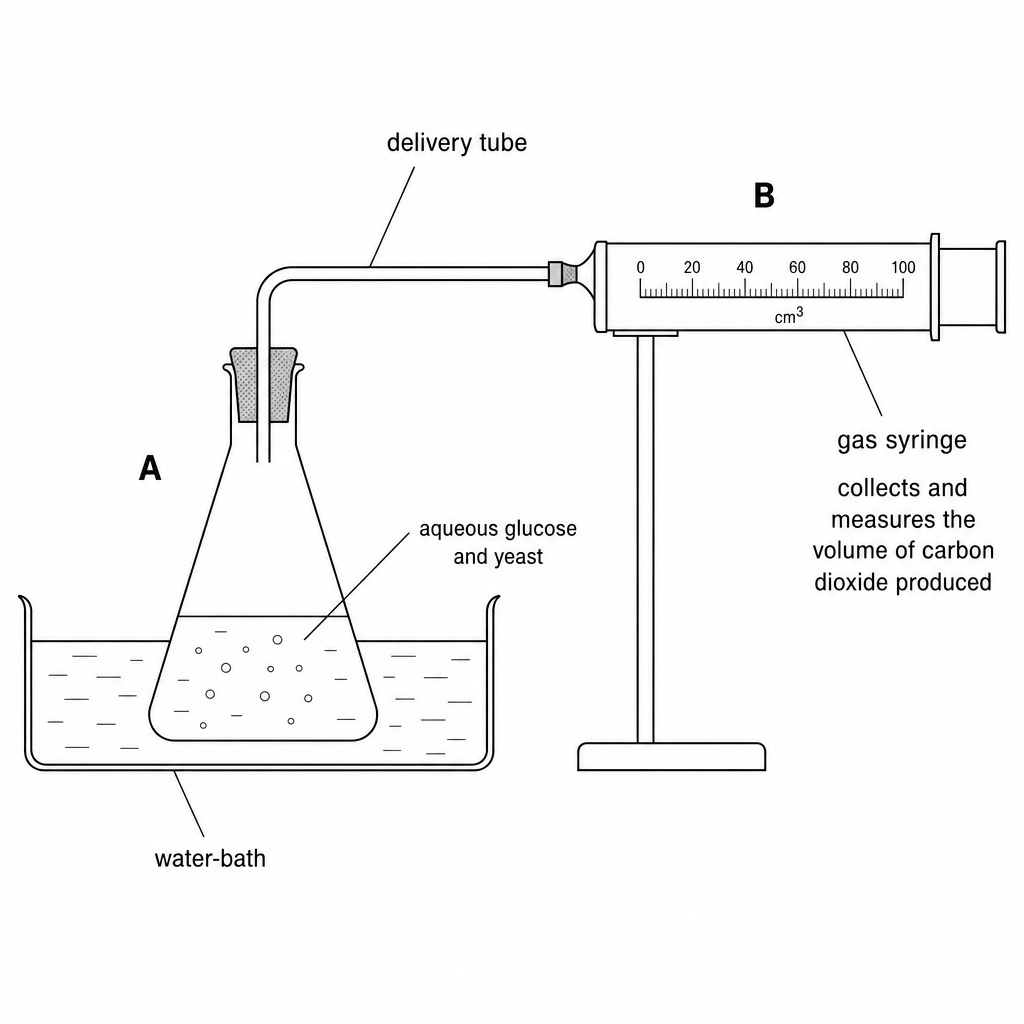 Diagram for question 1