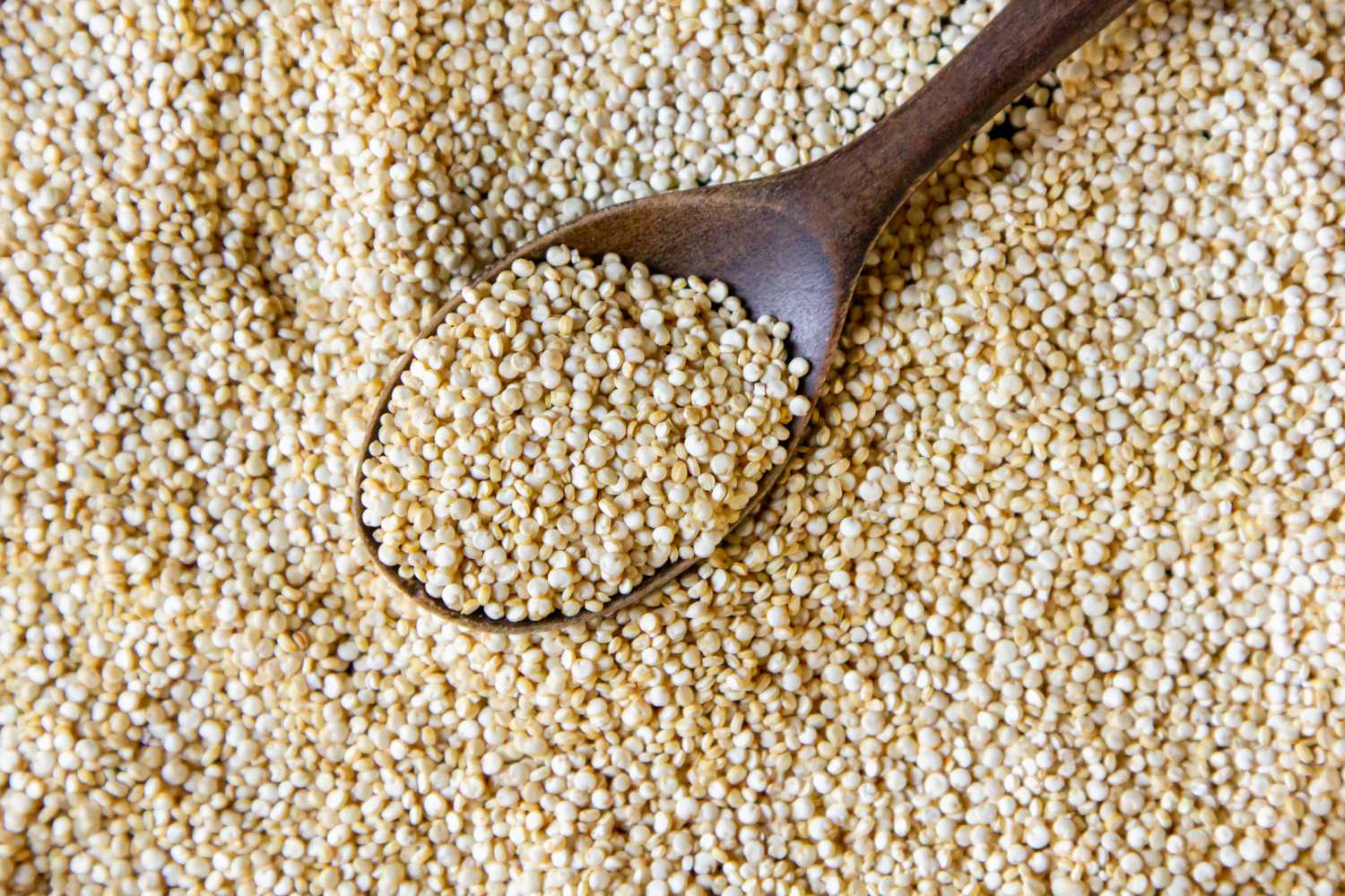 Remarkable Power of Sesame Seeds: A Tiny Superfood for Better Health