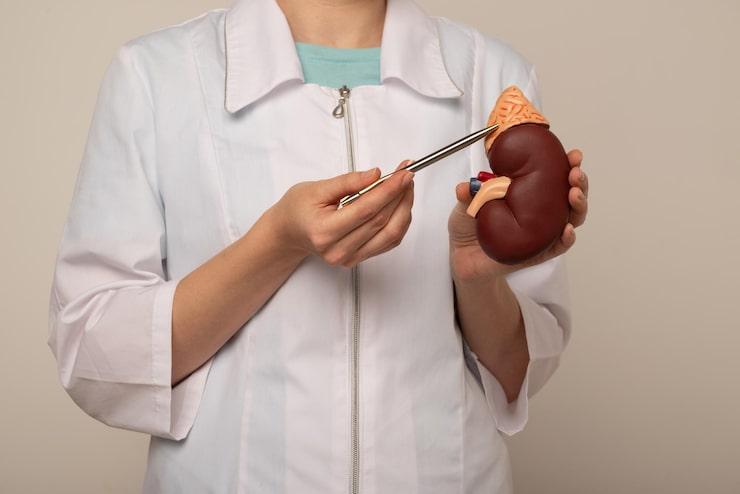 Doctor discussing kidney health