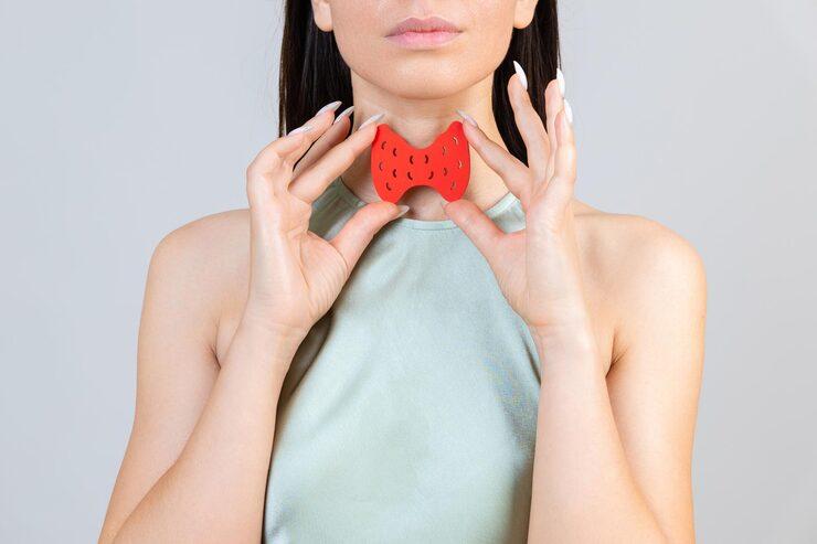 Woman holding a model of thyroid over her throat