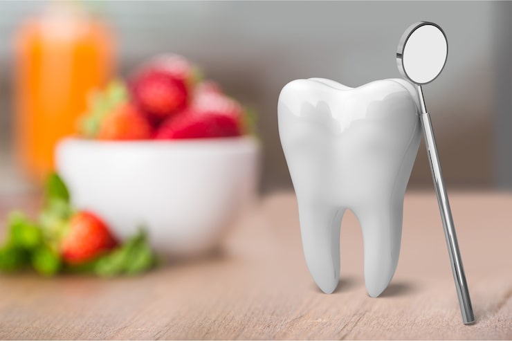 Anatomical model of a healthy tooth