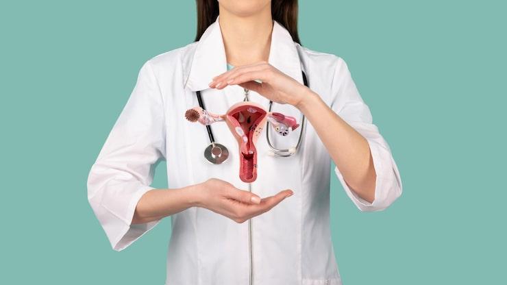 doctor holding the anatomical model of the female reproductive system