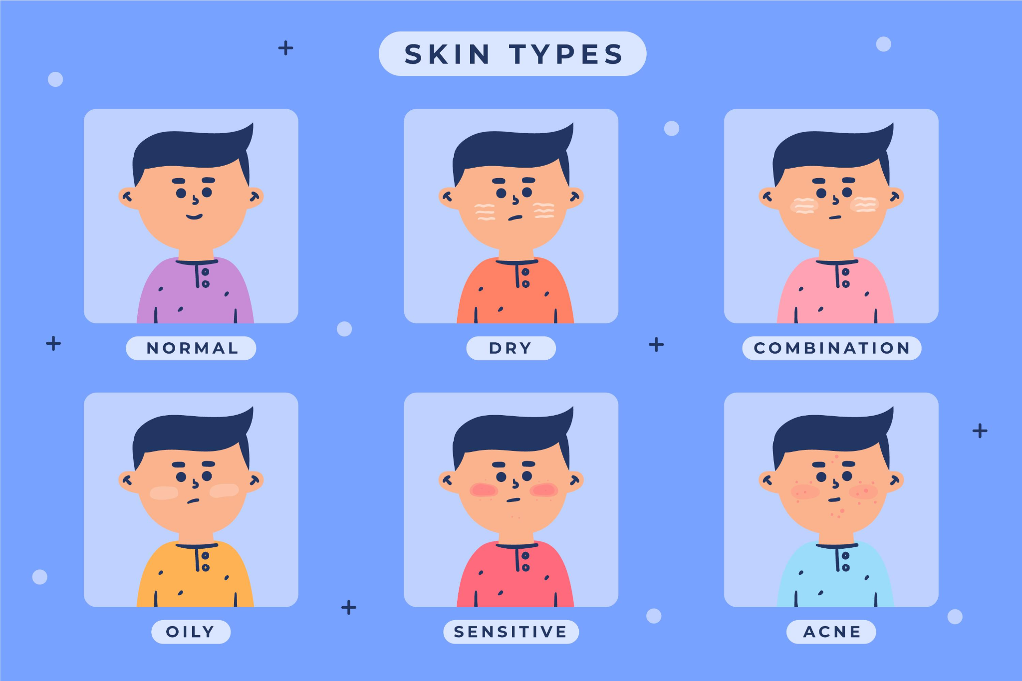 Infographic showing different skin types like normal, oily, dry, combination and sensitive.