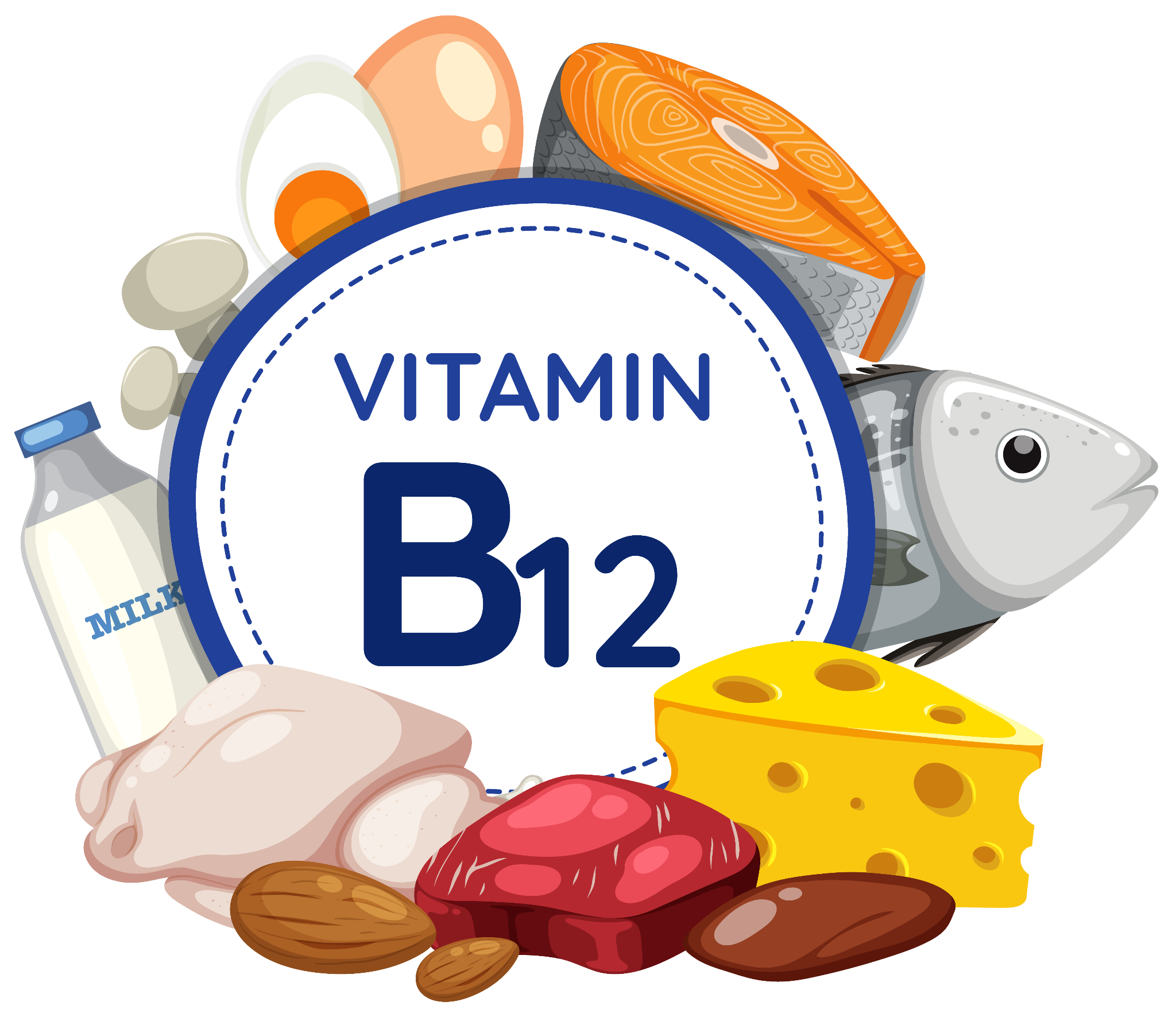 Silent Signals: How Vitamin B12 Deficiency Affects Your Nerves, Mood, and Energy Levels
