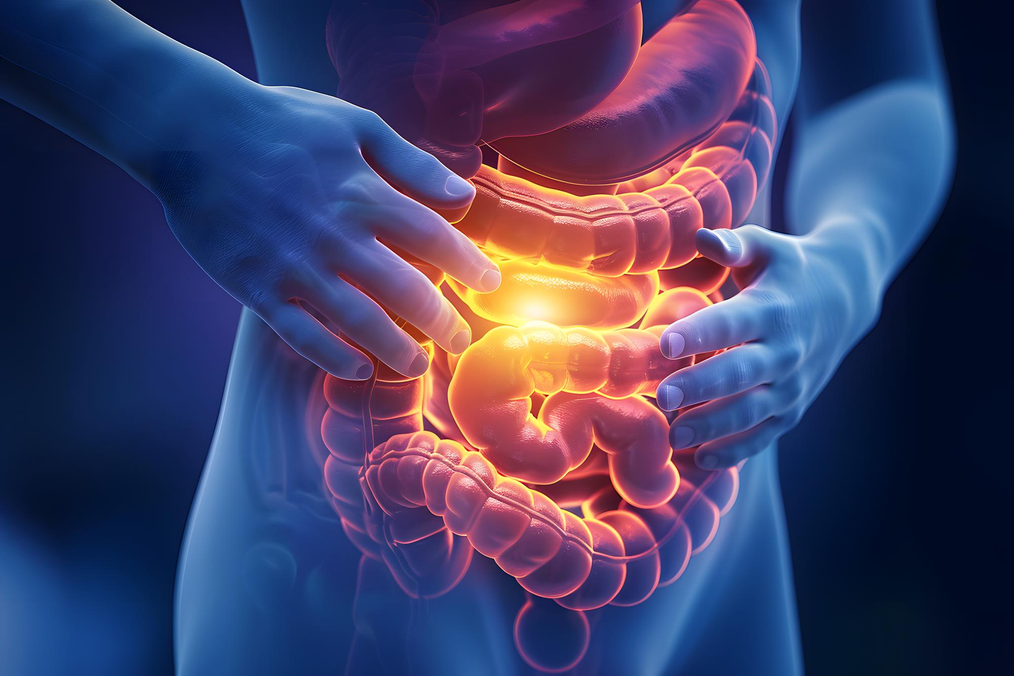 An illustration of human intestines representing gut health and digestive balance.