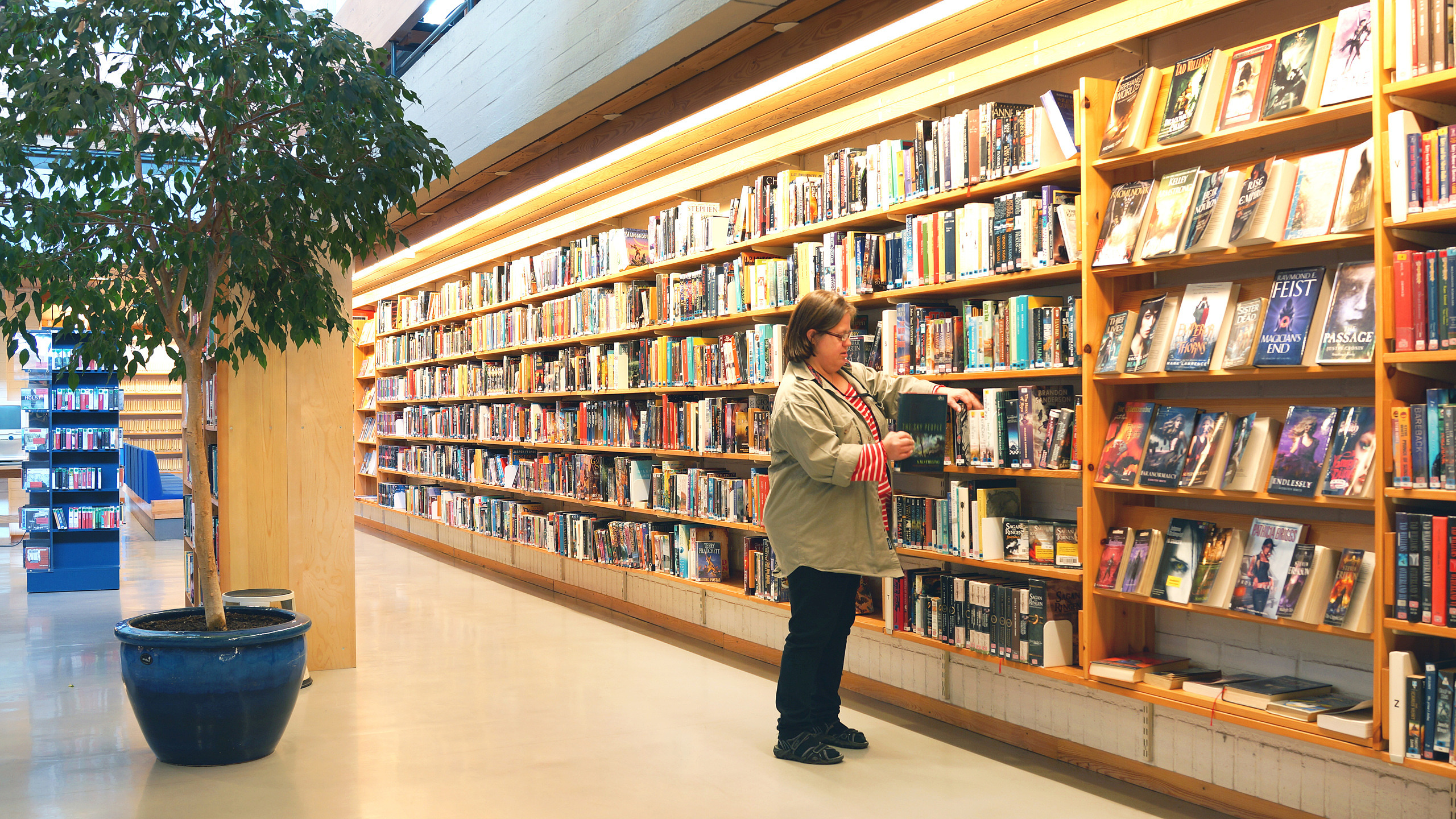 Praktik Biblioteket bild 1