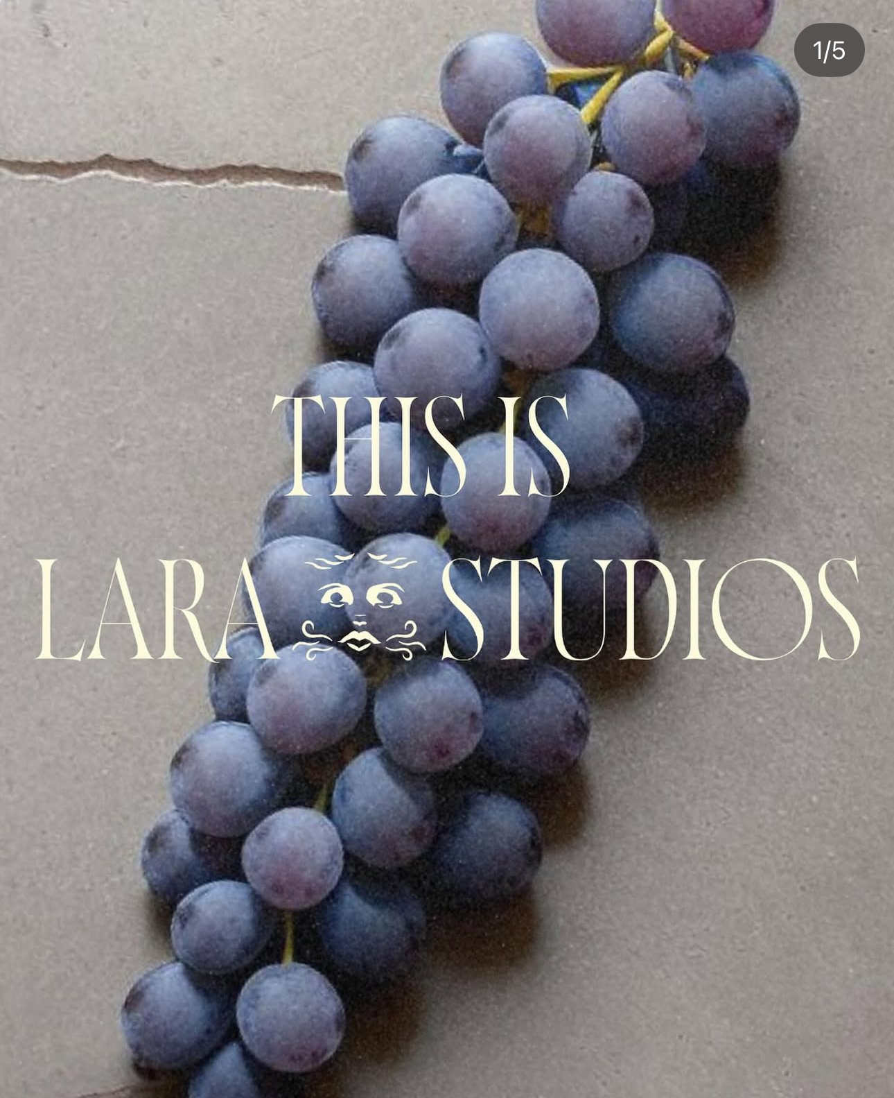 Lara Studios bild 1