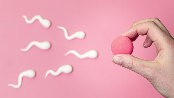 Cómo reconocer los signos de la ovulación