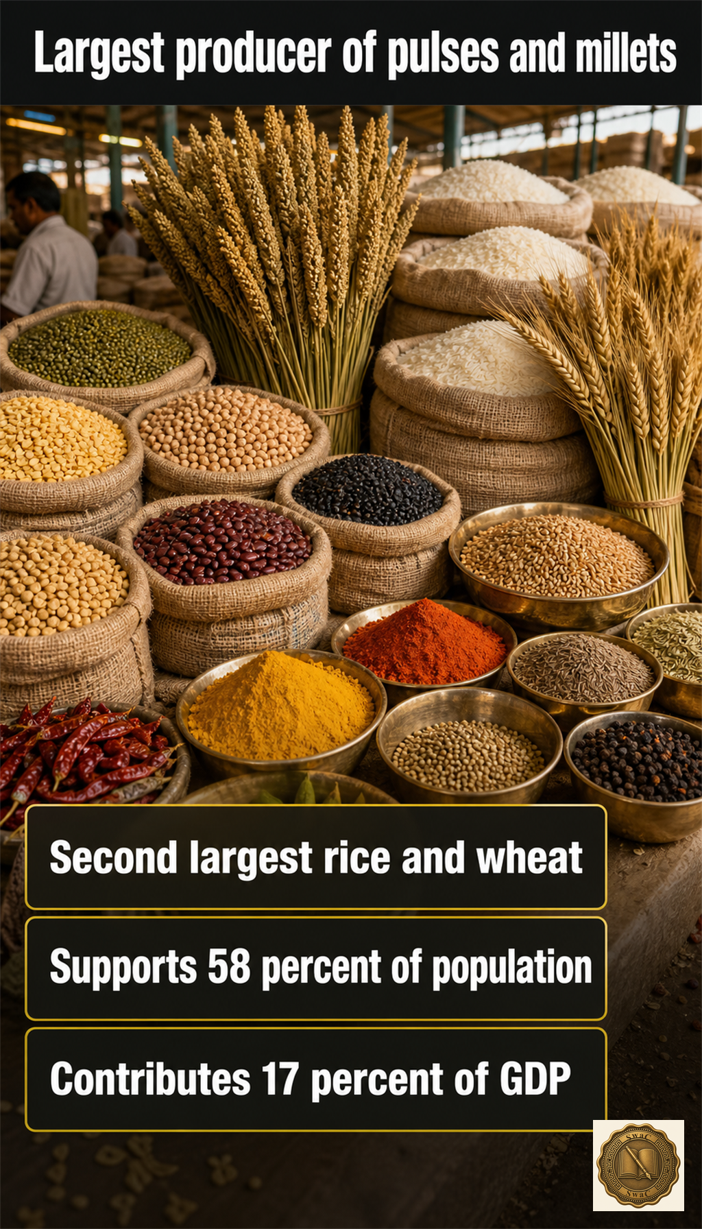 India as a global agricultural powerhouse - heaps of pulses, millets, rice and wheat that map to specific world rankings.
