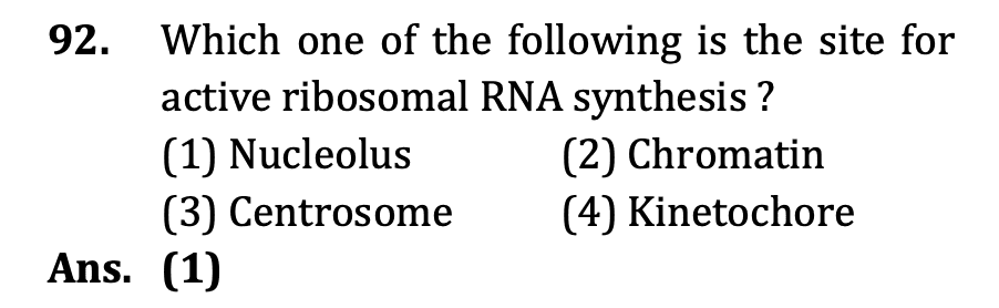 NEET 2026 question 10 (Biology)