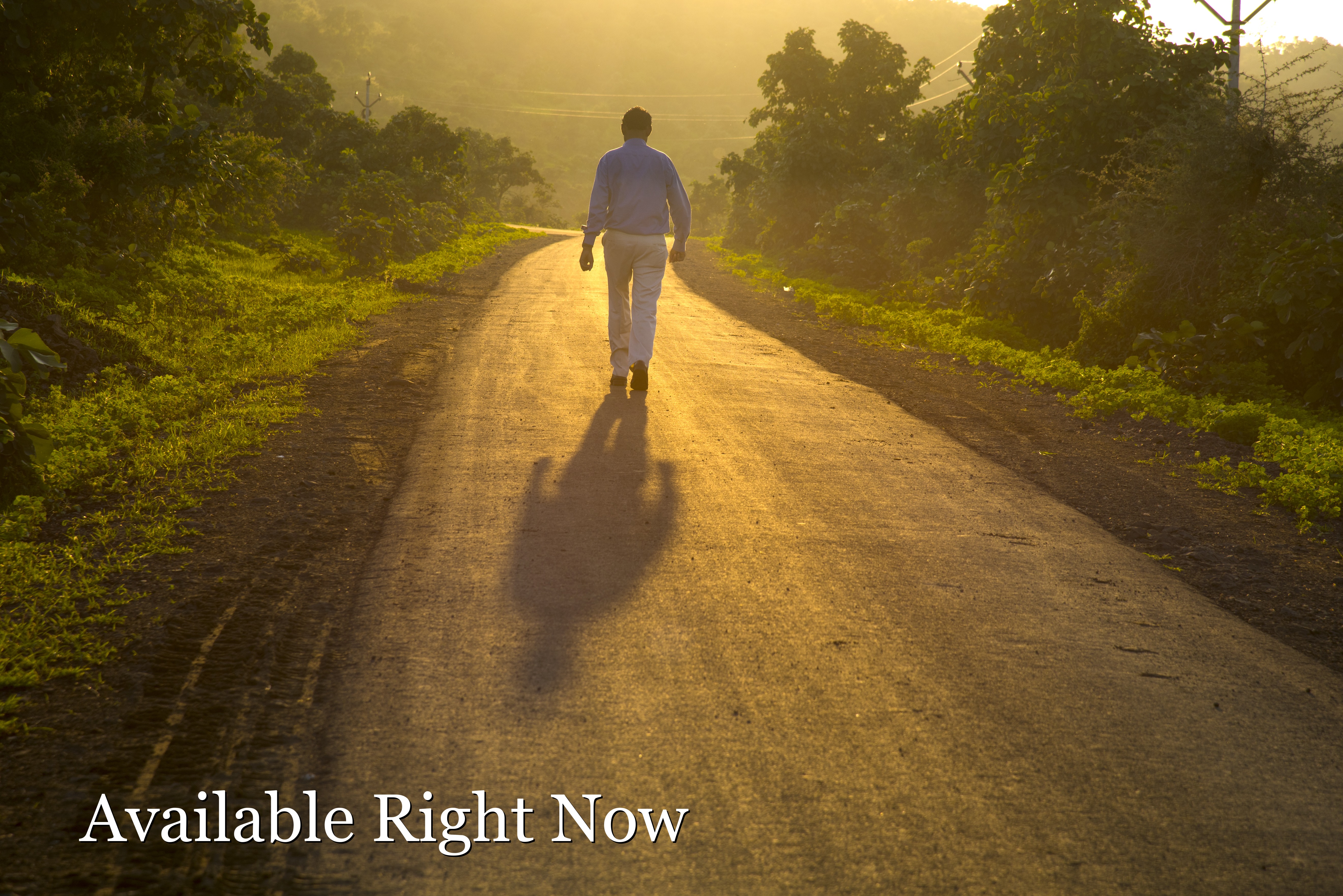 A man walking alone down a quiet sunlit road at golden hour, casting a long shadow.