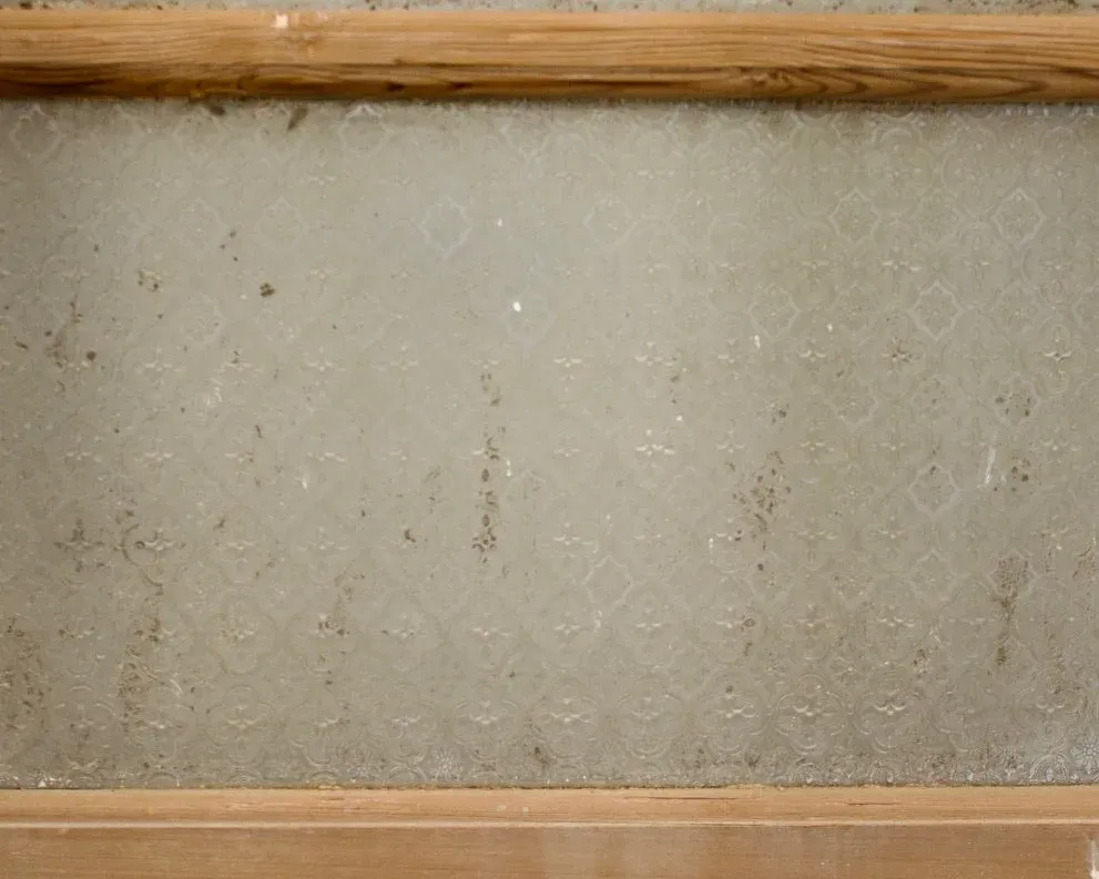 THE ALBERT SINGLE DOOR WITH GLASS