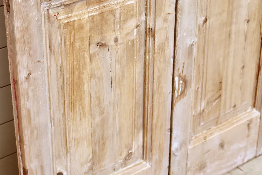 THE ADELINE 19TH CENTURY SOLID DOOR PAIR