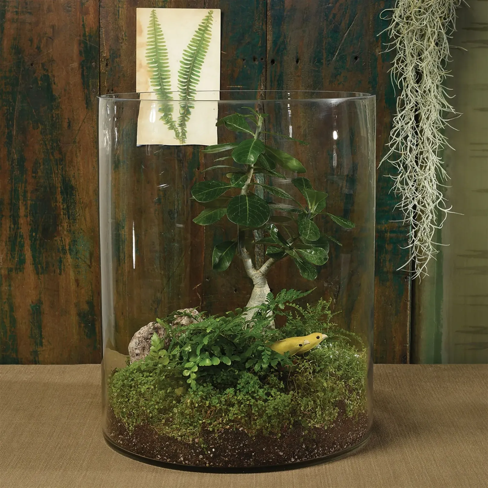 Grayson Grand Glass Cylinder
