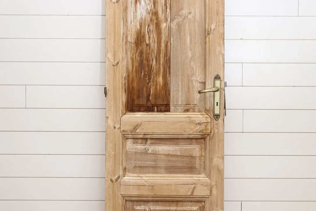 NEW - 19TH CENTURY SINGLE SOLID DOOR