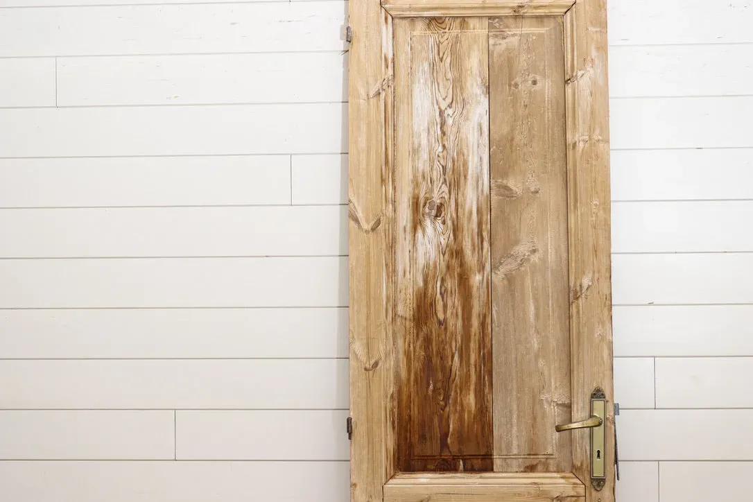NEW - 19TH CENTURY SINGLE SOLID DOOR