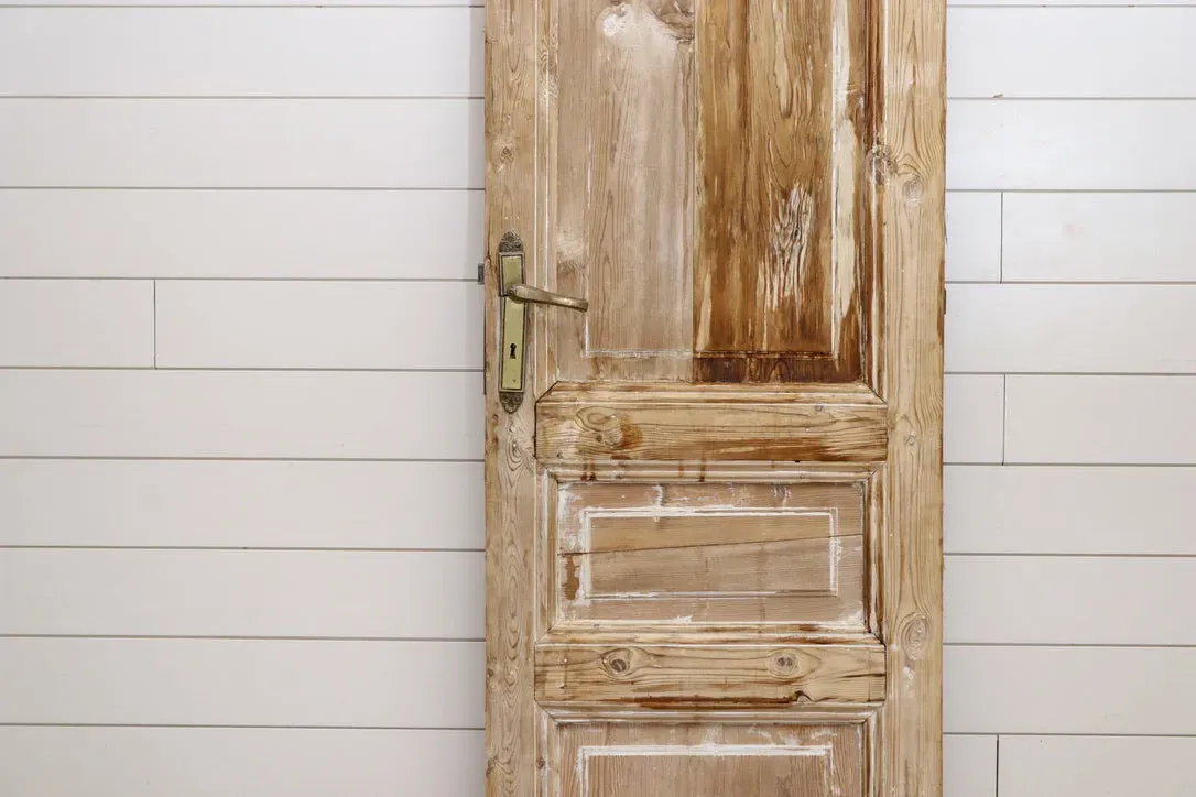 NEW - 19TH CENTURY SINGLE SOLID DOOR