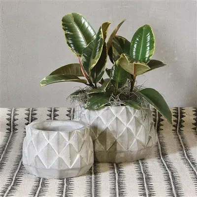 Luz Cement Planter