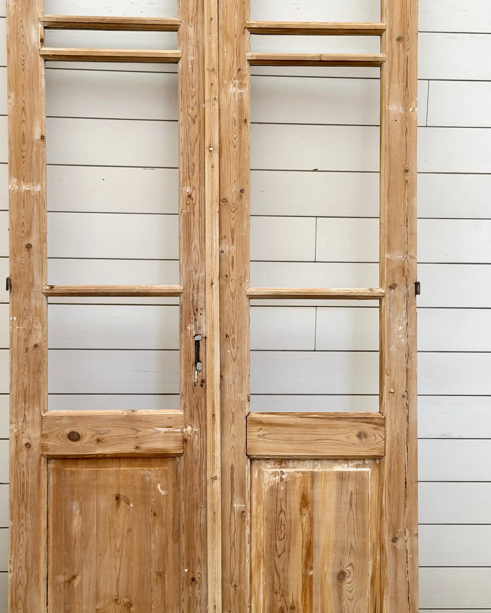 THE BETSY GLASS DOOR PAIR