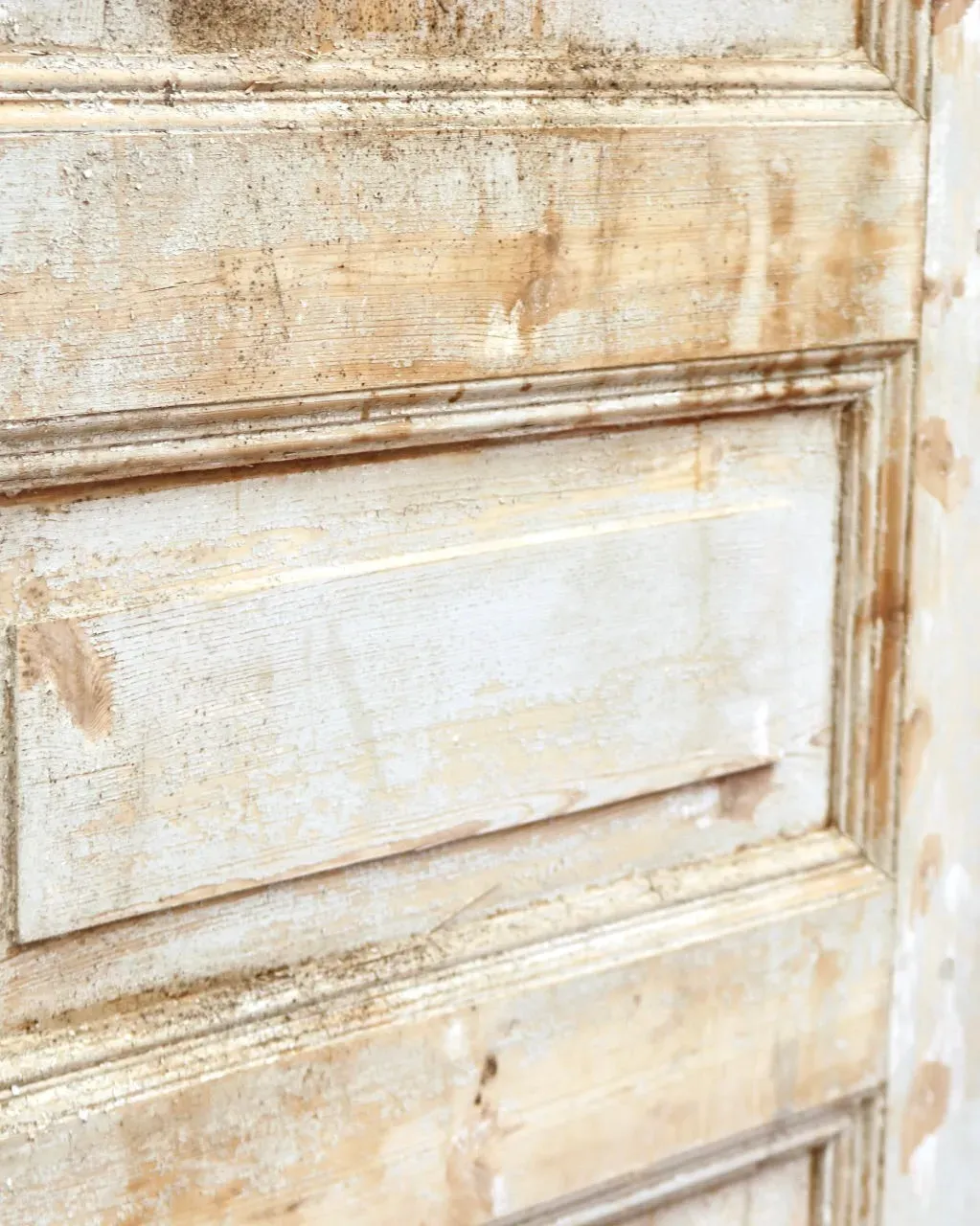 THE LAWRENCE SINGLE SOLID DOOR